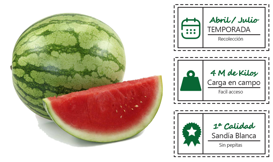 Sandia Blanca sin pepitas